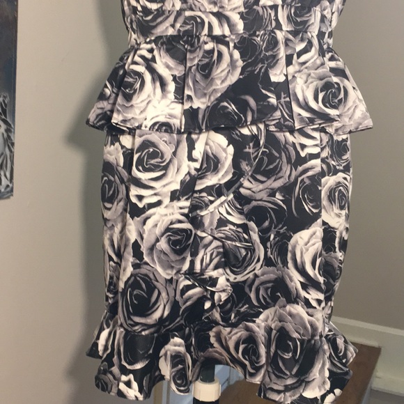 Kate Young for Target Roses & Ruffles Dress - Picture 4 of 8